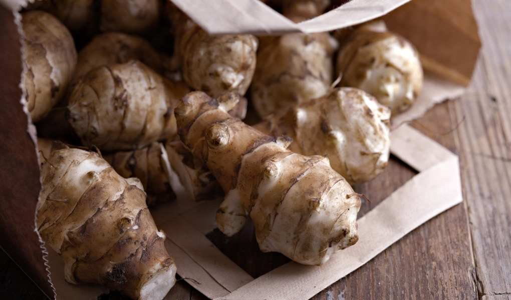 Growing Jerusalem Artichokes: Your Complete Guide to Success