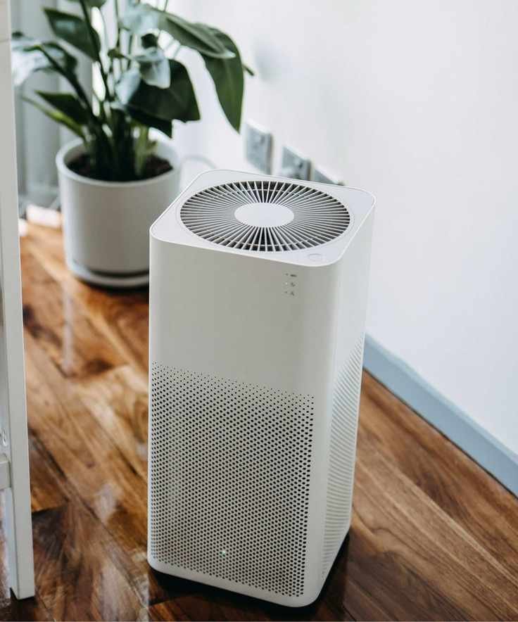 A white air purifier on a dark wooden floor with a leafy plant behind it