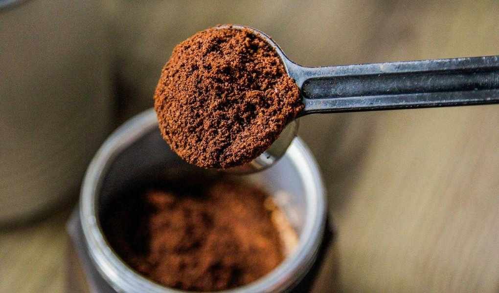 Using Coffee Grounds for Plants: An Eco-Friendly Fertilizer Alternative