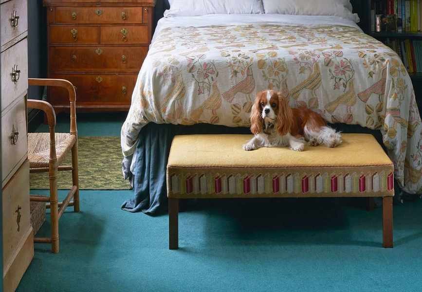 5 Essential Cleaning Hacks to Tackle Pet Dander Allergies This Season