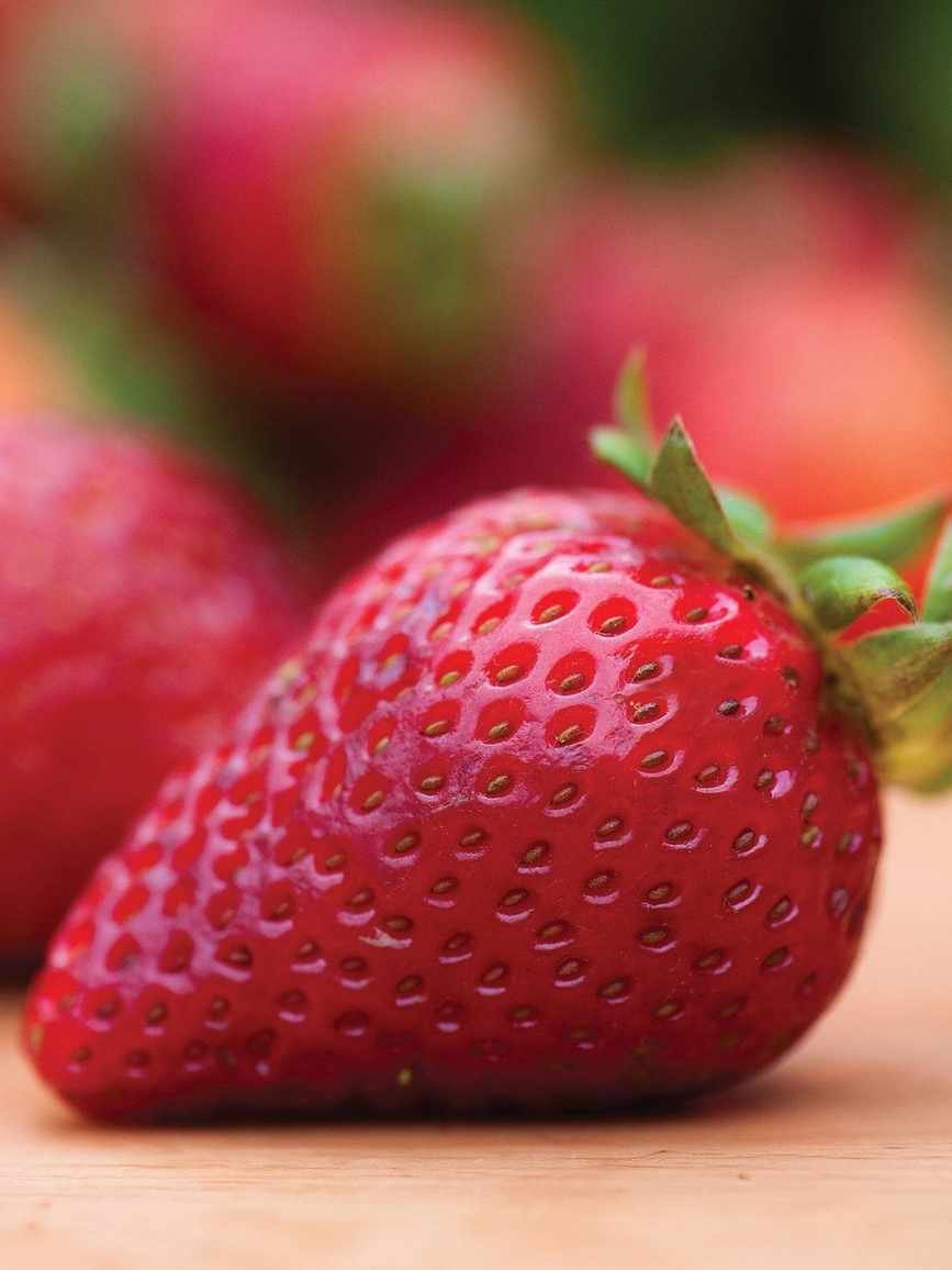 Strawberry, Earliglow