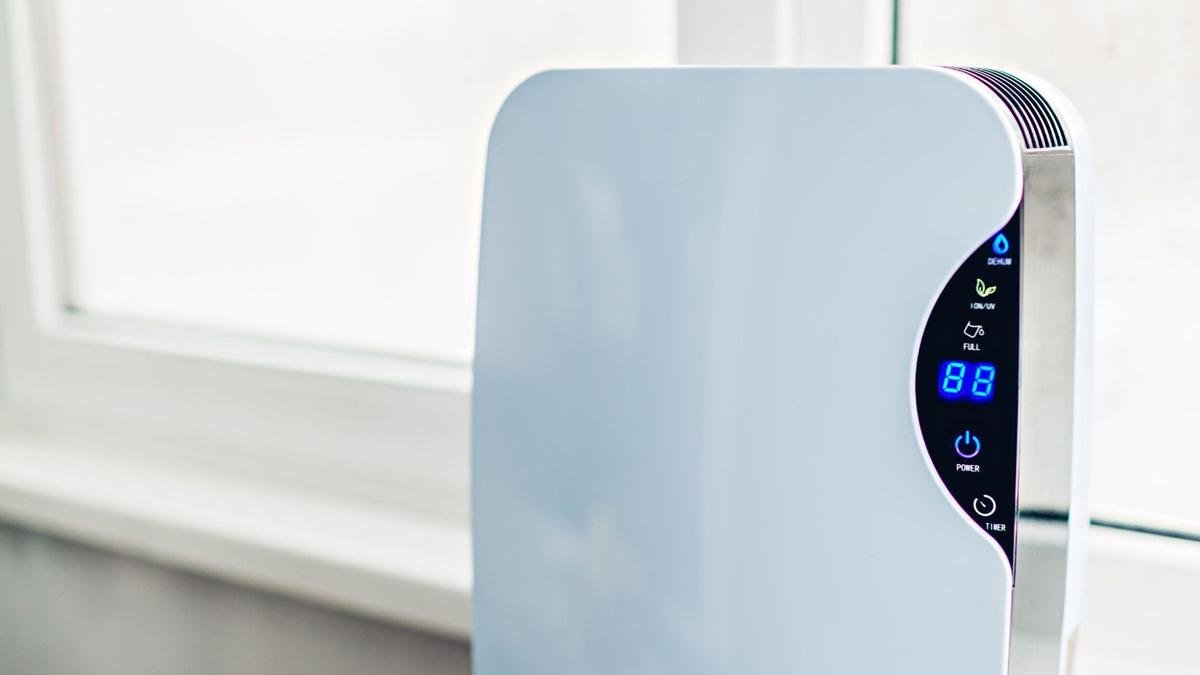 Why I Can't Imagine Living Without My Dehumidifier