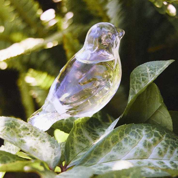 Self-Watering Globe