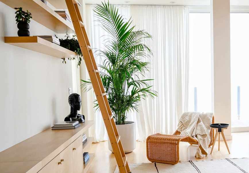 Top Apartment Plants to Brighten Your Space