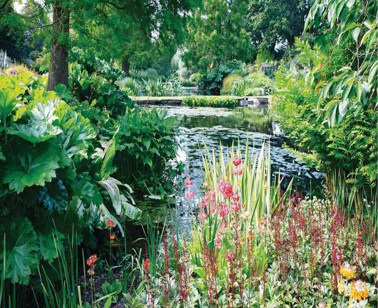 Enhance Your Garden Pond with a Frog House for Wildlife Protection