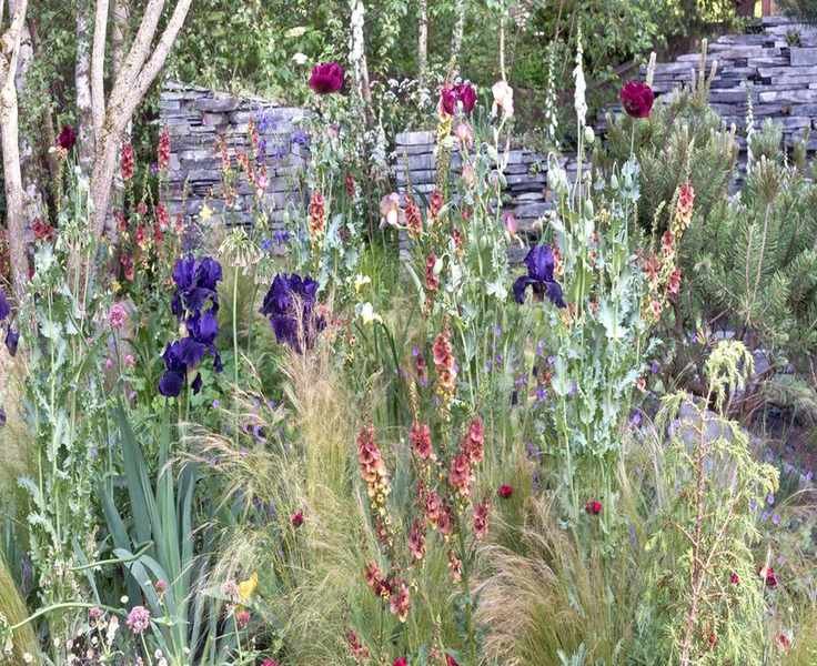 Garden Trends from 2016 Making a Comeback with Fresh Ideas