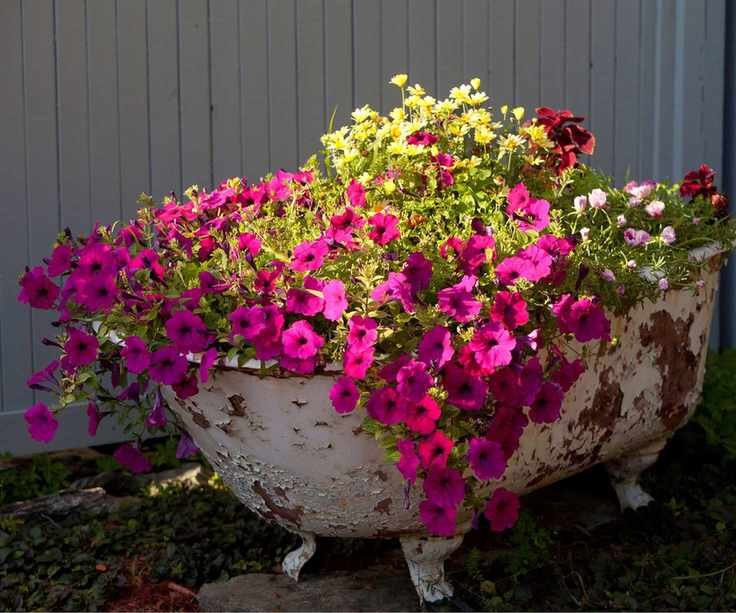 Bathtub florals