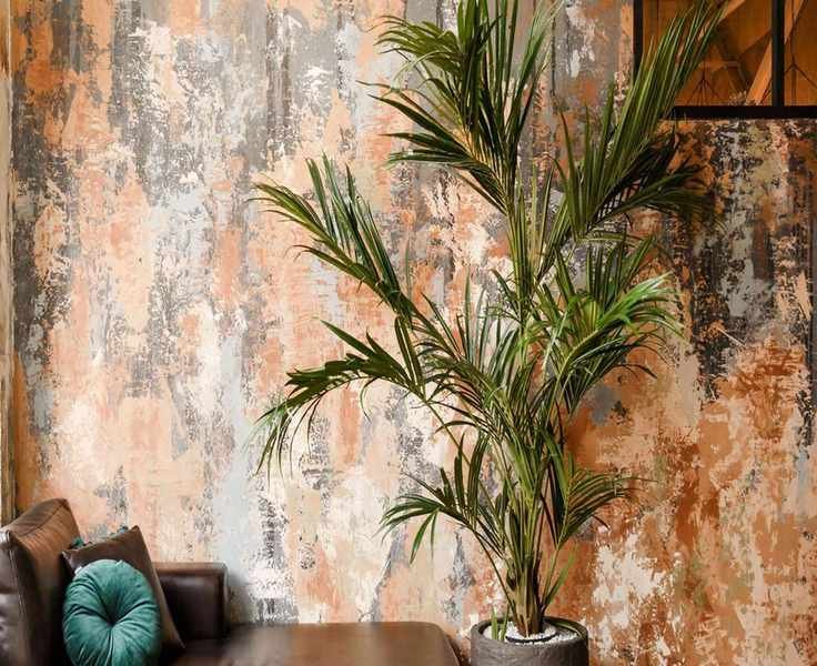 9 Essential Tools for Your Indoor Gardening Toolkit in 2026
