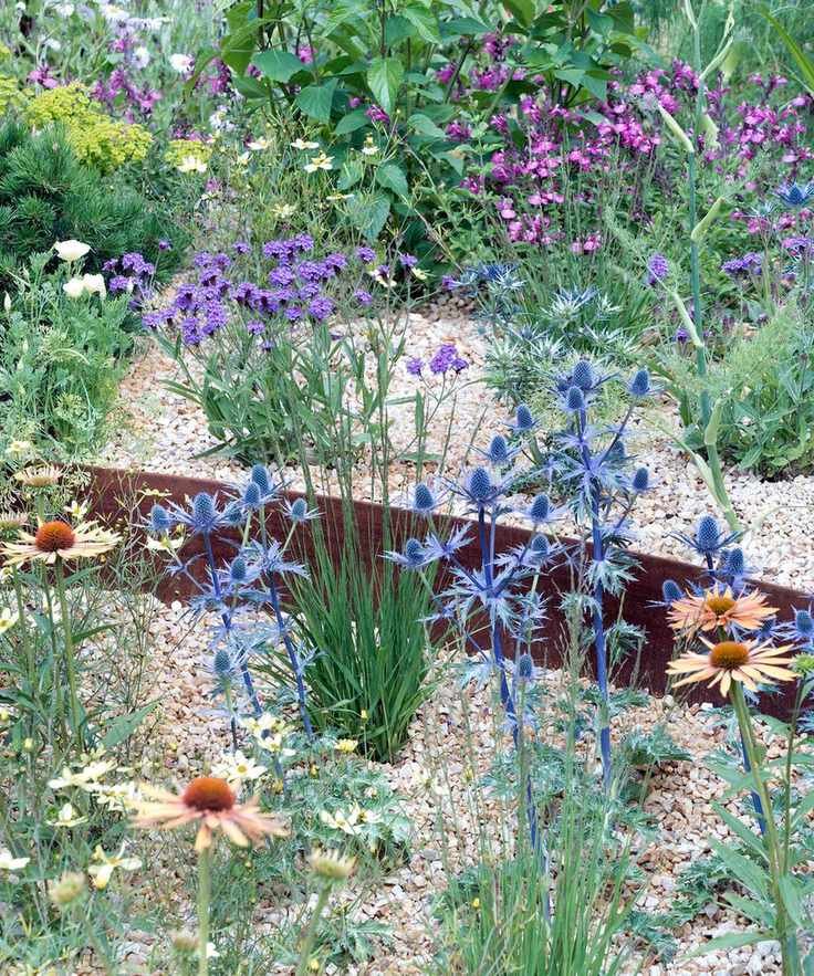 gravel garden planted with drought tolerant plants