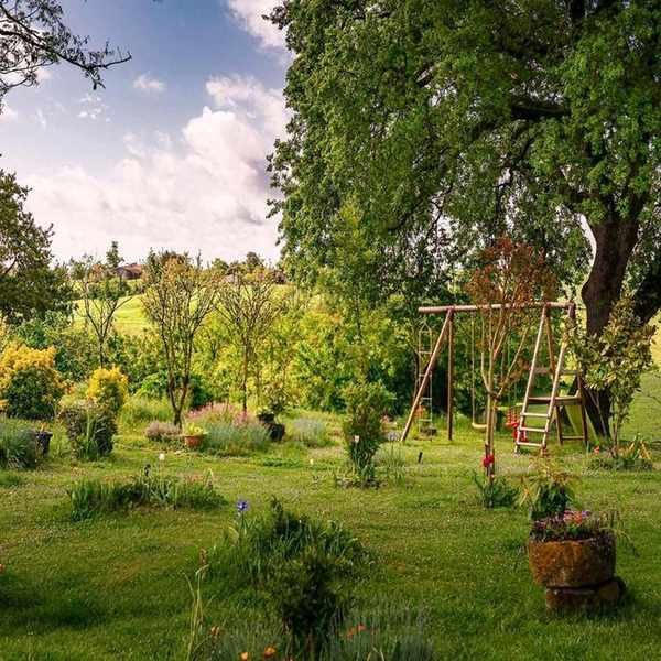 A swingset in an overgrown backyard