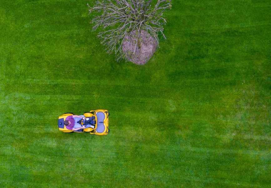 lawn mower on lawn
