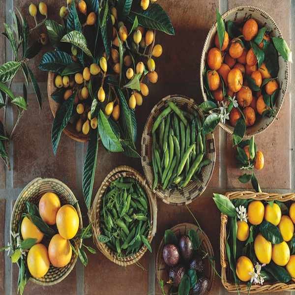 Brain Health Diet: 10 Essential Foods to Boost Cognitive Function