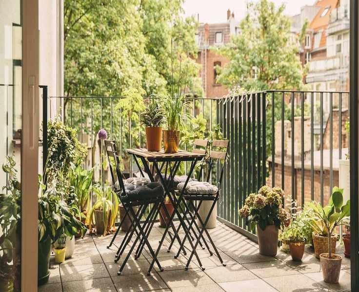 Top 5 High-Yield Crops for Small Spaces: Perfect for Balconies