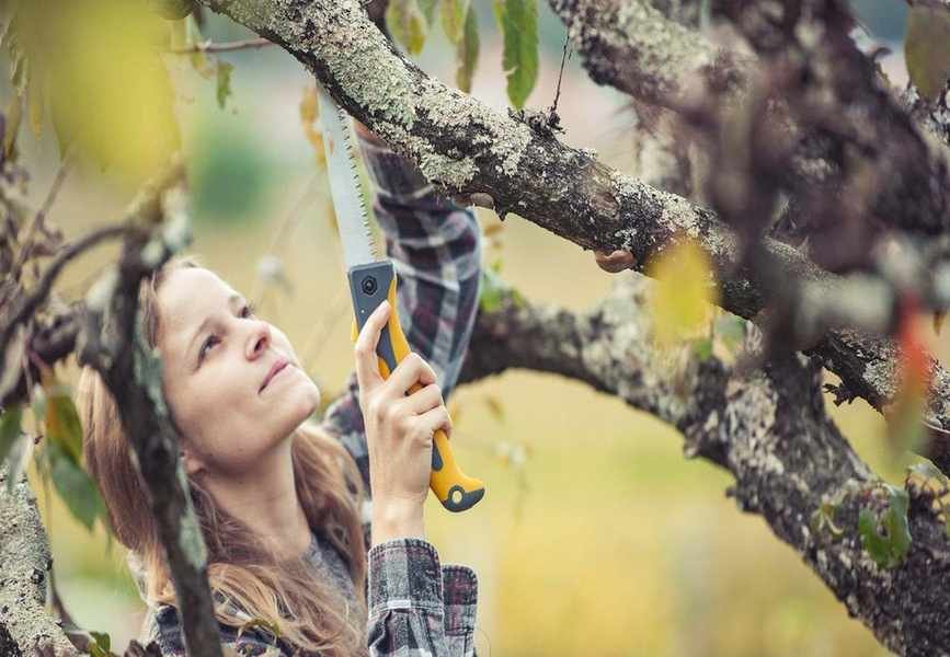Understanding Pruning Saws: Essential Uses and Safety Tips