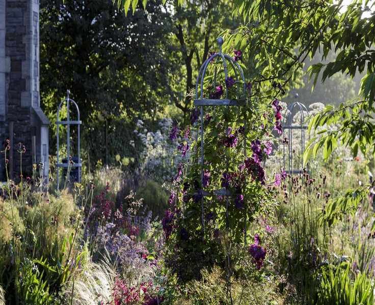 Is Salt a Smart Choice for Weeding? What You Should Consider