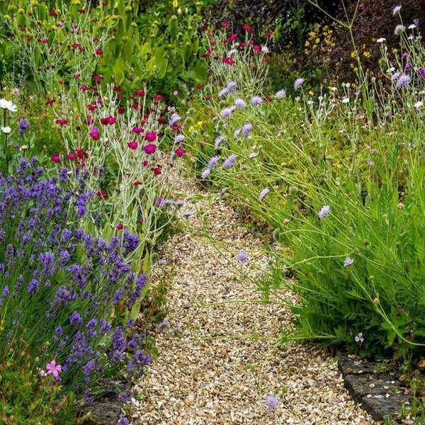 Gravel path, flower borders,
