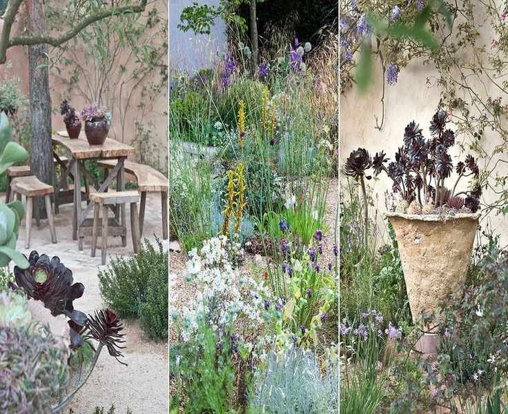 Drought-Tolerant Landscaping Ideas: 8 Savvy Solutions for Your Backyard