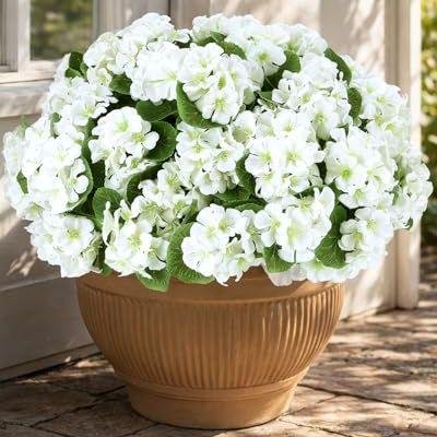 Florispera Artificial Flowers for Outdoors &amp;amp;ndash; 6 Bundles of Uv-Resistant Artificial Geraniums, Realistic Silk Flowers for Front Porch, Patio, Garden, Window Boxes &amp;amp; Hanging Baskets (white, 6)