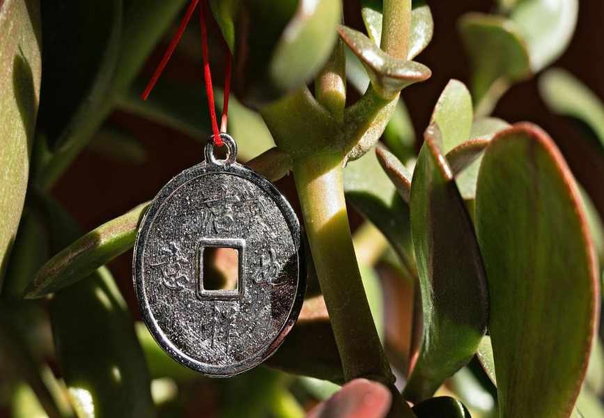 Exploring the Feng Shui Wealth Corner: Can It Attract Prosperity?