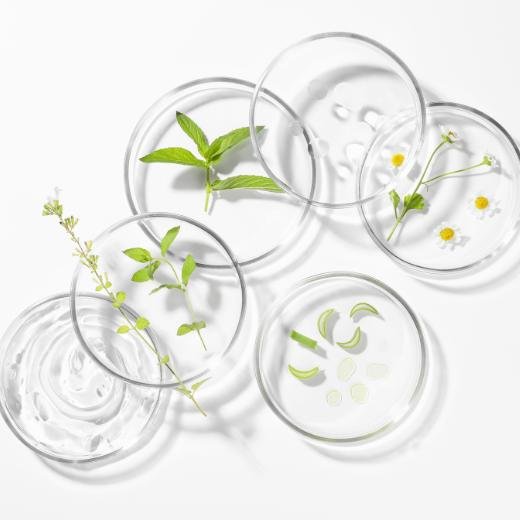 Top Natural Oils for Hydration and Skin Rejuvenation