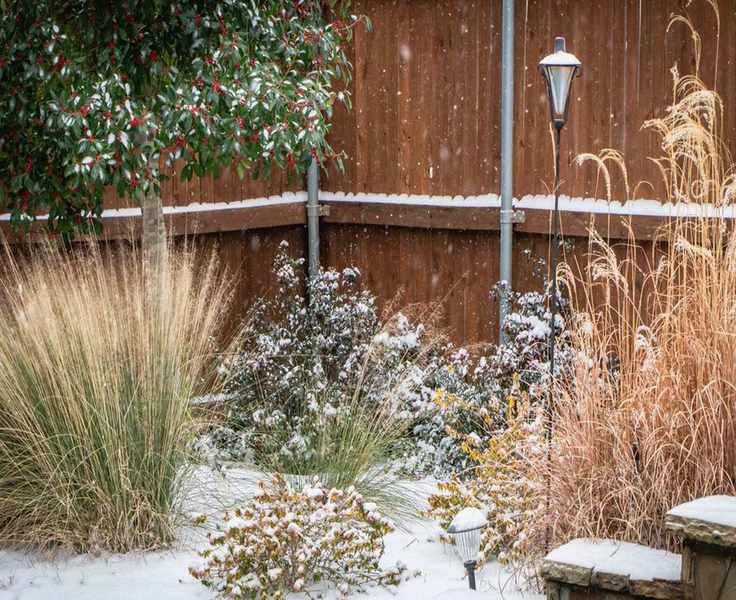 Wrapping Potted Plants for Winter: Keeping Them Cozy Against Frost