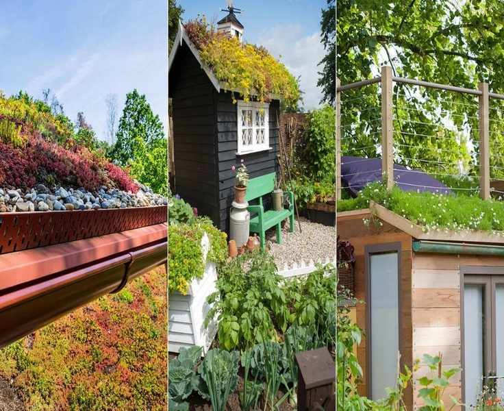 Exploring Green Roofs: A Comprehensive Look at Living Roofs