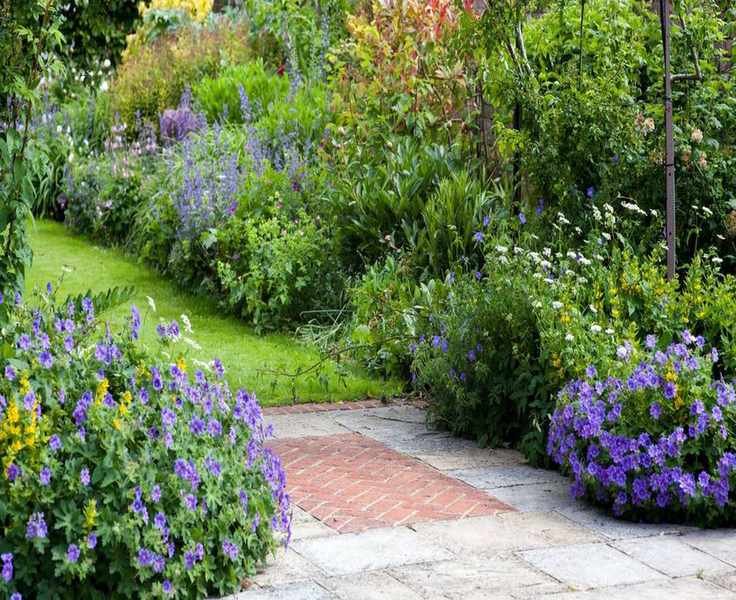 Loosen Hard Garden Soil for Thriving Spring Plants – 3 Simple Methods