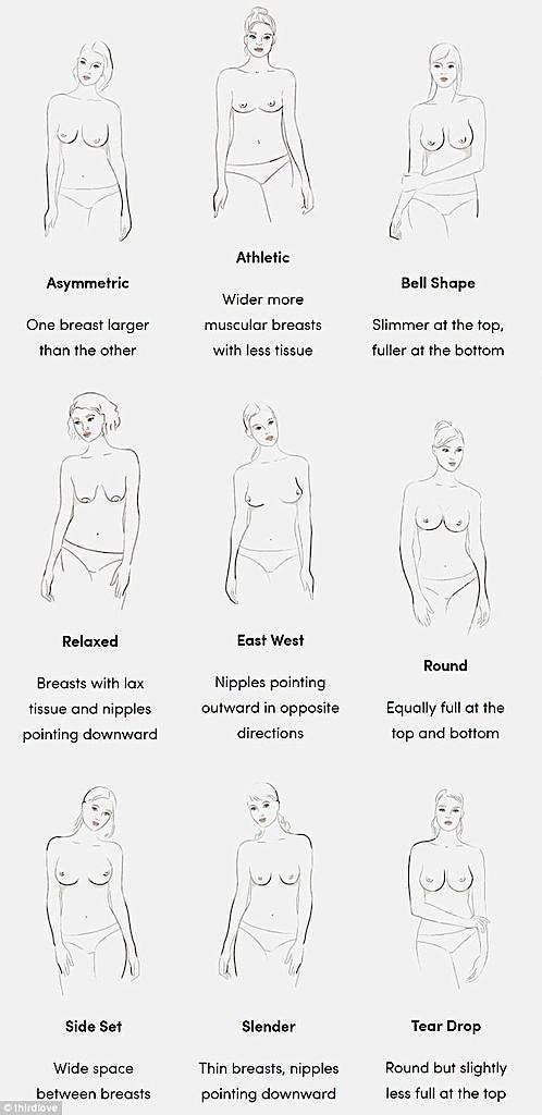Exploring Various Breast Shapes and Their Importance