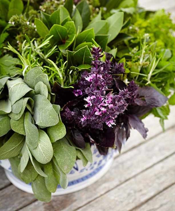 Avoid These Common Mistakes When Growing in Planters