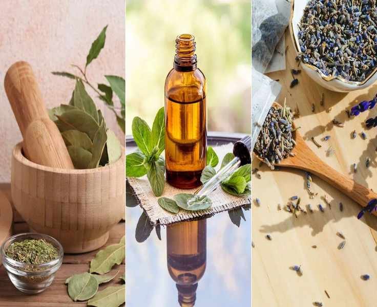 11 Pleasant Scents That Repel Garden Pests Effectively