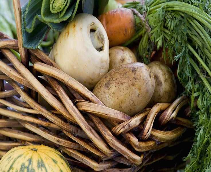 10 Fall Vegetables to Grow for Winter Harvests and Beyond