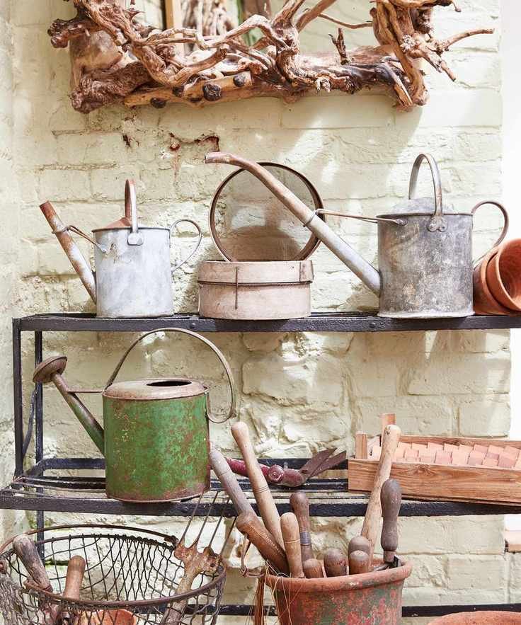 Vintage shed storage, including distressed metal watering cans and vintage tools, on black metal shelves.