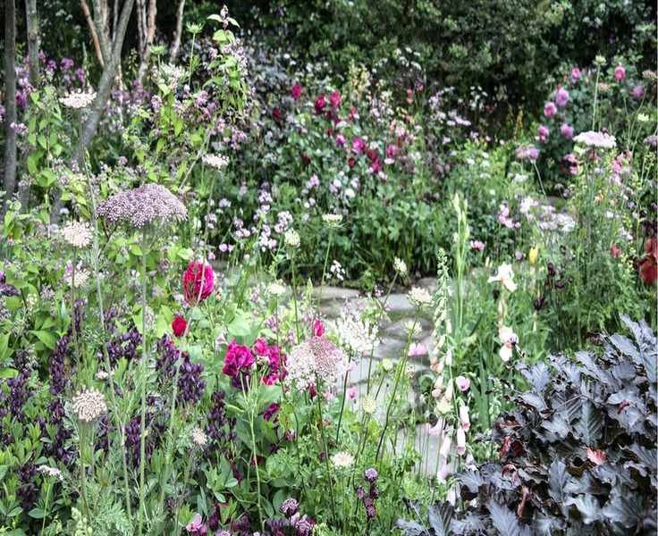 Explore the Meaning Behind Every Birth Month Flower and How to Cultivate Them