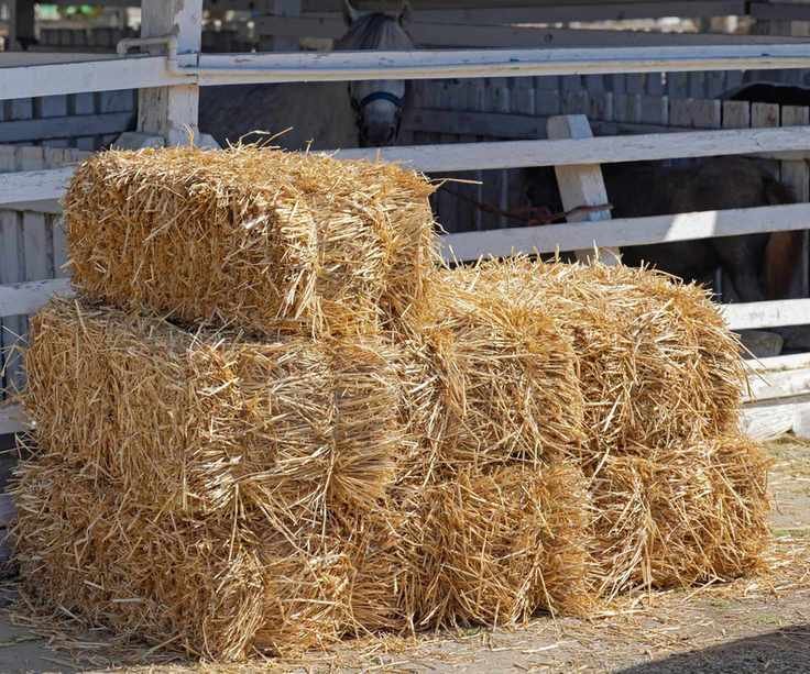 A pile of straw bales that could be used in the garden as part of composting