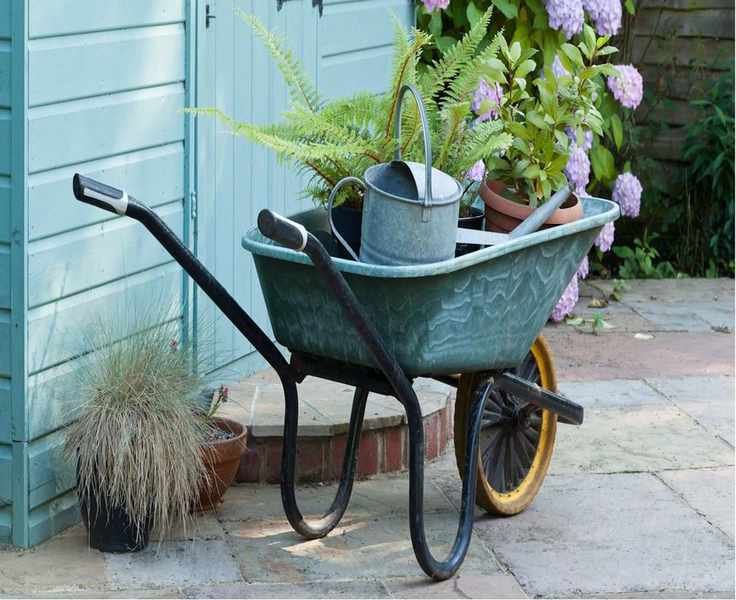 7 Affordable Non-Toxic Gardening Swaps for a Safer Outdoor Space