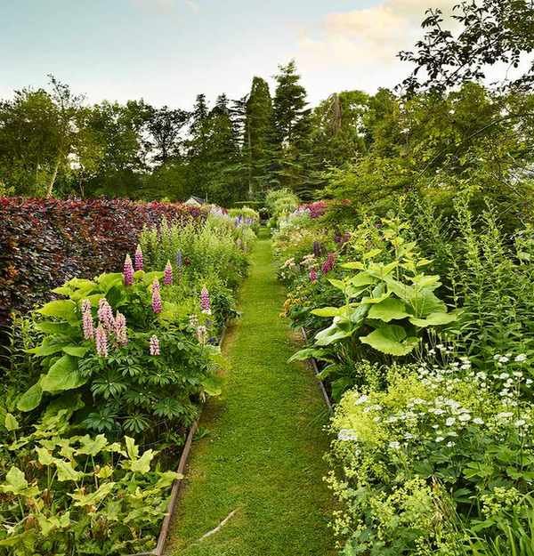 low-allergen garden