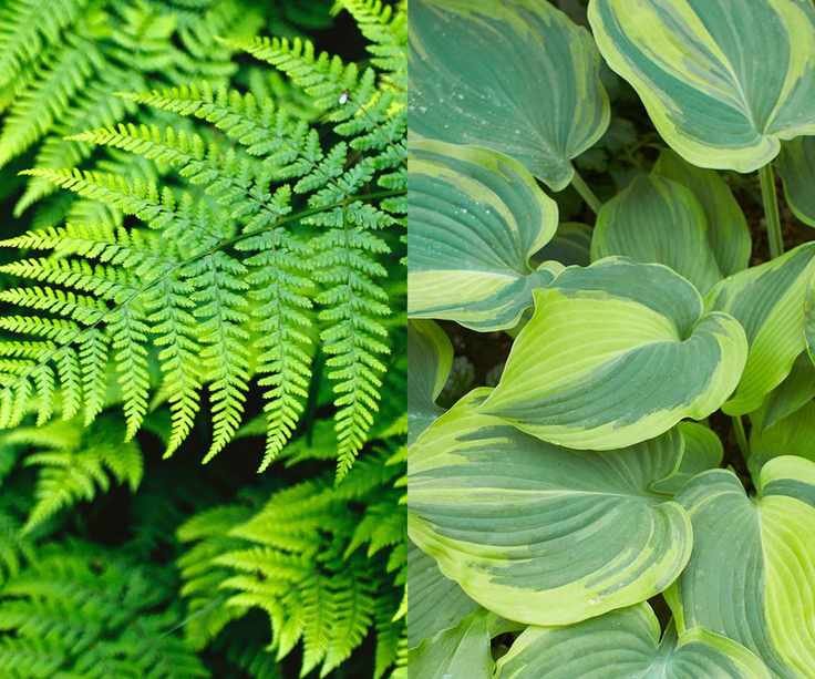 composite perennial partners
