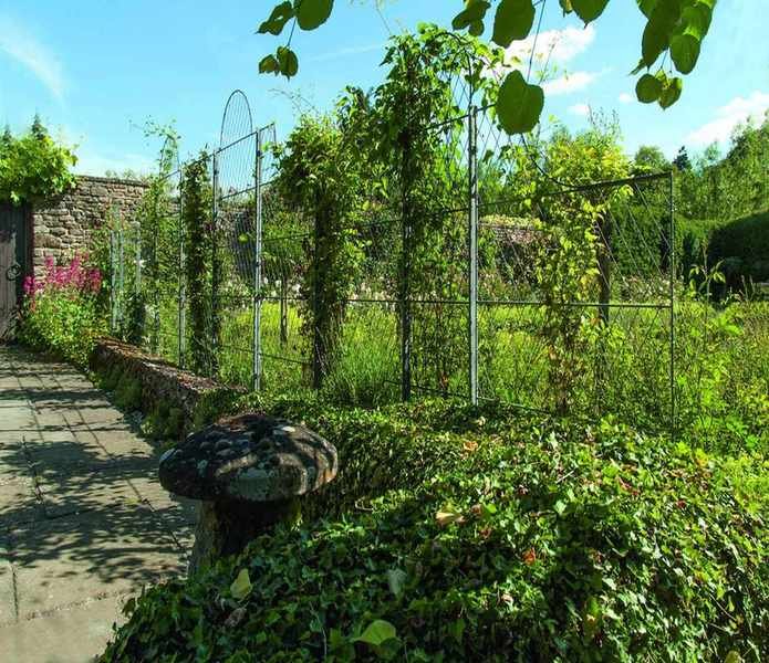 Garden Requisites wirework trellis fence
