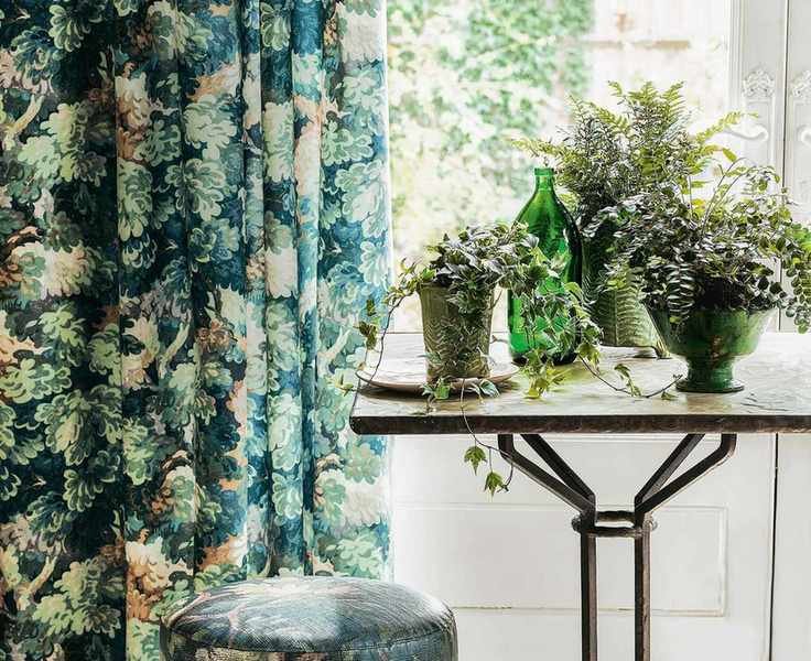10 Plants You Should Avoid Keeping in Your Bathroom