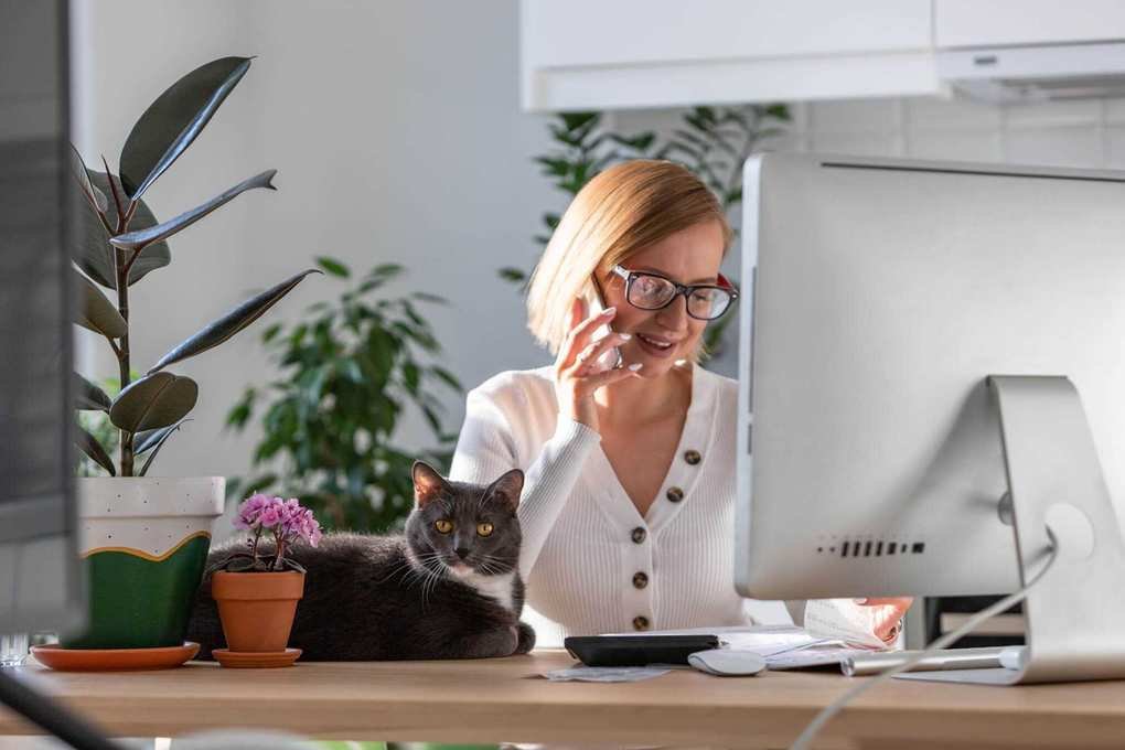 Understanding 401(k) and 403(b) Retirement Plans: Key Differences