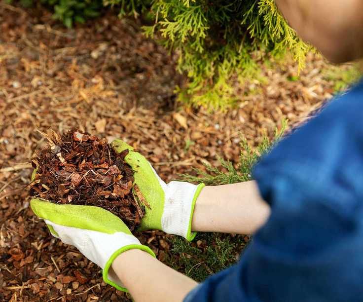 Bark Chipping Mulch