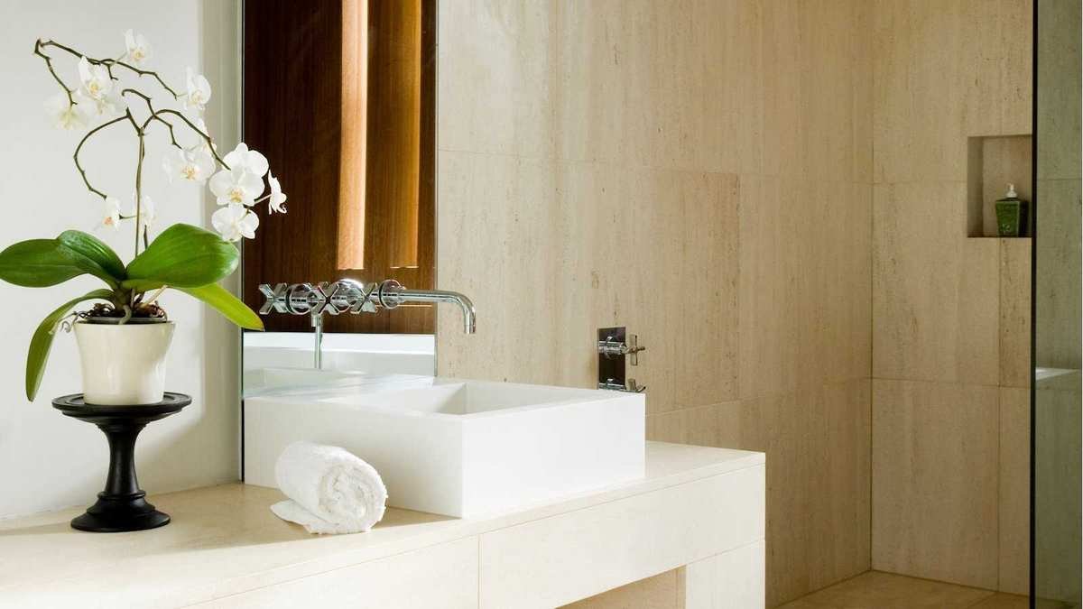 Orchids Aren't as Hard to Care for as You Think: Debunking Myths