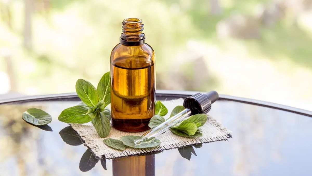 Five Scents That Deter Rats and Mice from Your Home