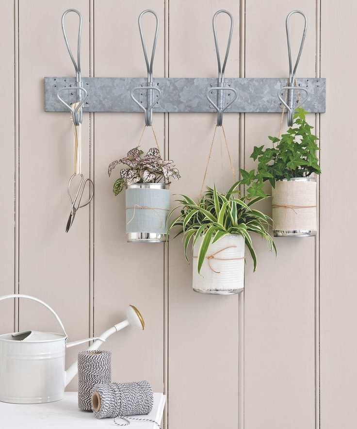 trio of indoor plants in small pots hanging on wall