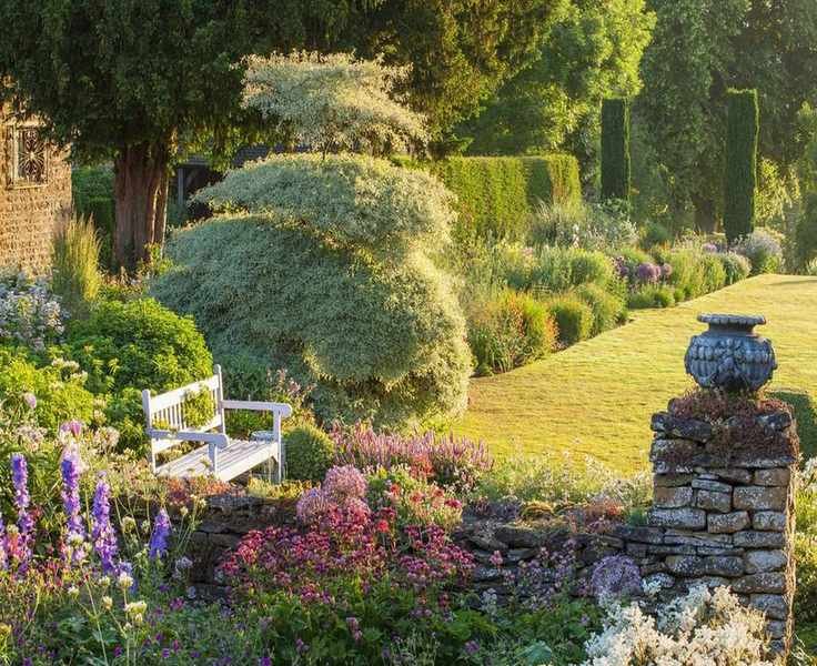 9 Underrated Trees That Will Transform Your Garden Space