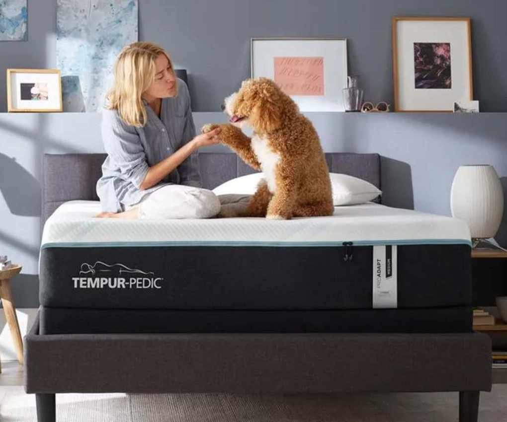 A woman and a dog sitting on a Tempur-Pedic mattress.