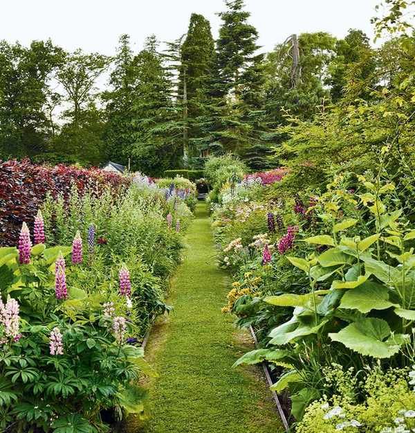 Instagram garden ideas