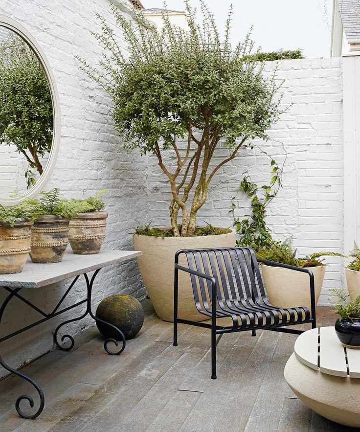 courtyard garden with whitewashed brick walls, tree in oversized planter and metal furniture