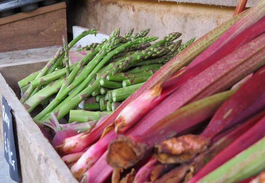 8 Long-Lasting Vegetables for Your Garden: A Gardener's Top Picks