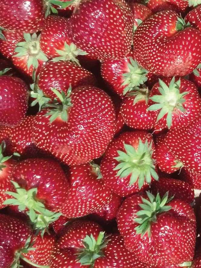 Strawberry, Flavorfest